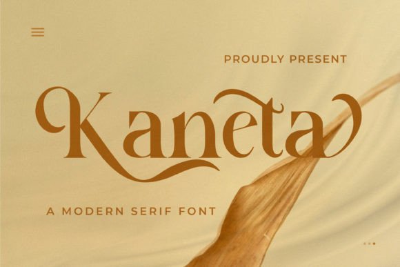 Download Kaneta - Premium Resources